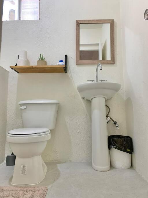 Casa Anuiti Centrica Ubicacion. Διαμέρισμα San José del Cabo Εξωτερικό φωτογραφία