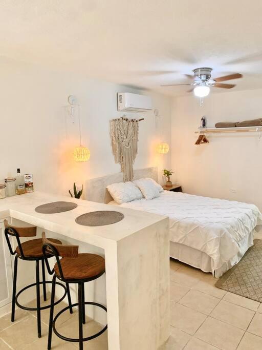 Casa Anuiti Centrica Ubicacion. Διαμέρισμα San José del Cabo Εξωτερικό φωτογραφία