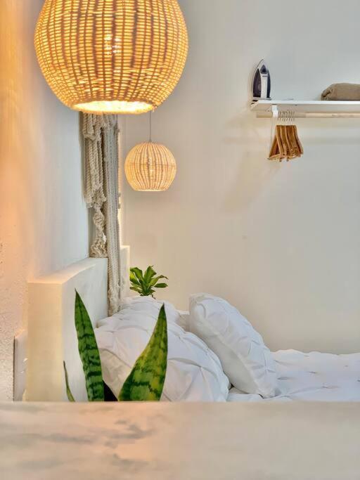 Casa Anuiti Centrica Ubicacion. Διαμέρισμα San José del Cabo Εξωτερικό φωτογραφία