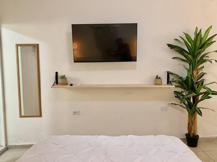 Casa Anuiti Centrica Ubicacion. Διαμέρισμα San José del Cabo Εξωτερικό φωτογραφία